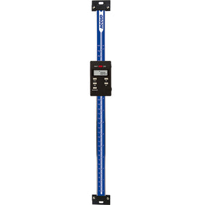 Horizontal & Vertical Scale